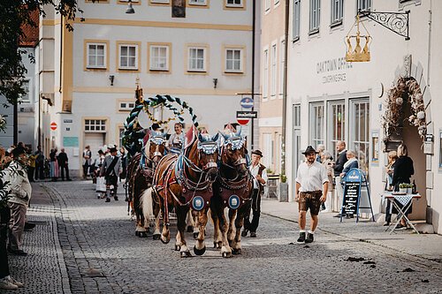 Kutsche Festumzug Traditionelle Pferdekutsche am Eichstätter Volksfestumzug